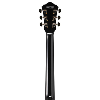 Ibanez AS93SP-BK Elektro Gitar Fiyatı, Özellikleri | ZUHAL - 50