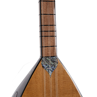 Çınar Ağacı Gövde Kısa Sap Bağlama