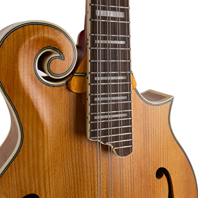 D’ANGELICO DAMFSSAMBE Elektro Mandolin