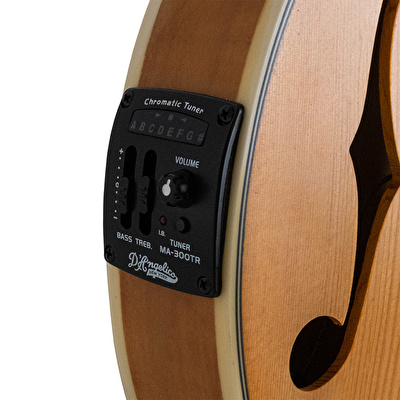 D’ANGELICO DAMFSSAMBE Elektro Mandolin