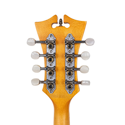 D’ANGELICO DAMFSSAMBE Elektro Mandolin