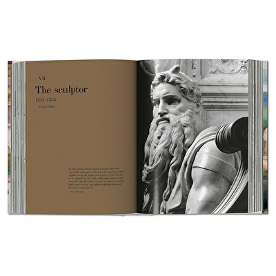 Michelangelo - The Complete Works
