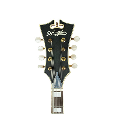 D’ANGELICO DAMFSSATWE Elektro Mandolin