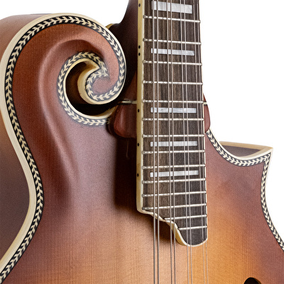 D’ANGELICO DAMFSSATWE Elektro Mandolin