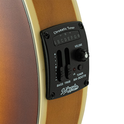 D’ANGELICO DAMFSSATWE Elektro Mandolin