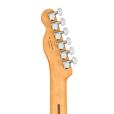 Fender Player Plus Telecaster Pau Ferro Klavye Silver Smoke Elektro Gitar