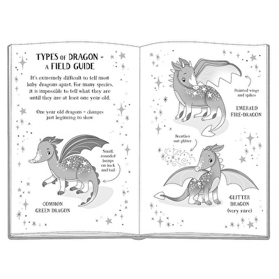 Baby Dragon