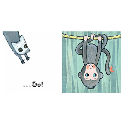 Jane Cabrera - Peek-a-boo Zoo!