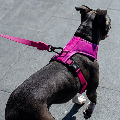 ZEE.DOG Pink Led Mesh Harness Tasma - XS Beden