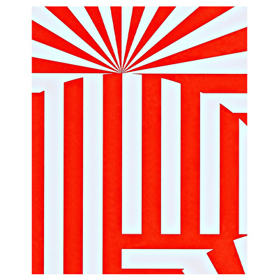 NUUNA Graphic L – Fancy Fans Defter