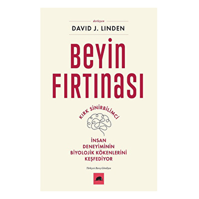 Beyin Fırtınası