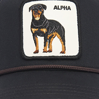 GOORIN BROS Alpha Dog 100 Şapka