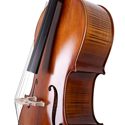 VANETTA WN-23 /  4/4 Çello