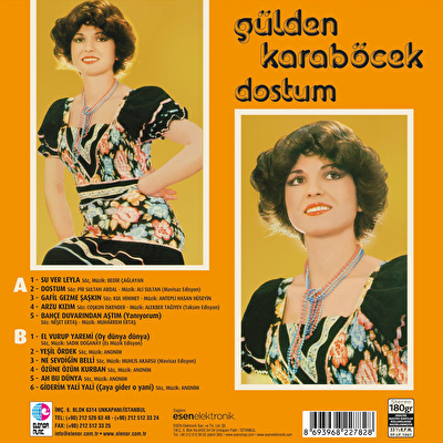 Gülden Karaböcek - Dostum