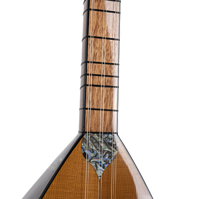 Ceviz Ağacı Gövde Kısa Sap Bağlama