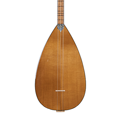 Ceviz Ağacı Gövde Kısa Sap Bağlama