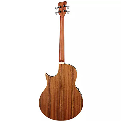 WARWICK ALIEN 4 Natural Satin Akustik Bas Gitar