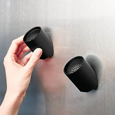 LEXON Ray Bluetooth Hoparlör Mat Siyah