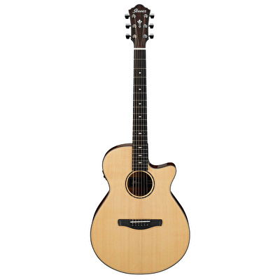 Ibanez aeg200 on sale