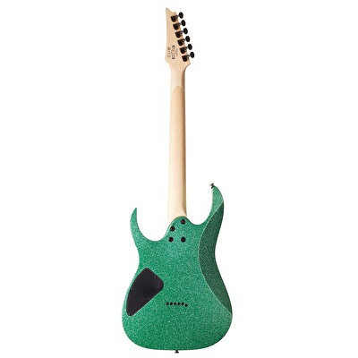 IBANEZ RG421MSP-TSP Elektro Gitar
