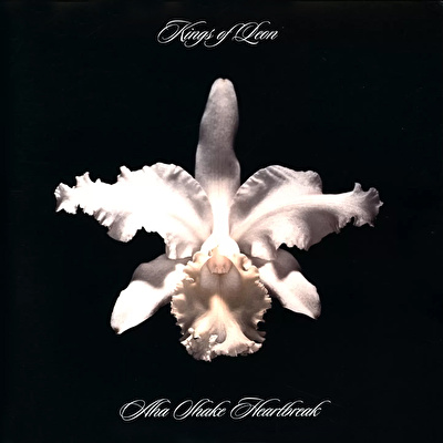 Kings Of Leon - Aha Shake Heartbreak