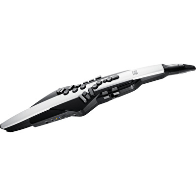 ROLAND AE-20 Aerophone Dijital Nefesli Enstrüman