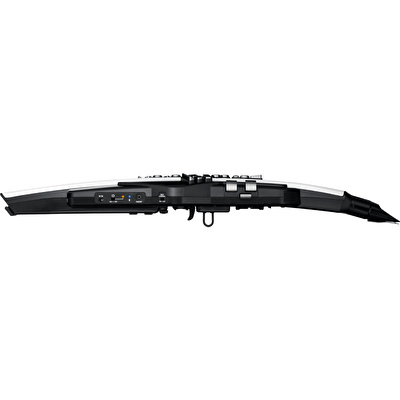 ROLAND AE-20 Aerophone Dijital Nefesli Enstrüman