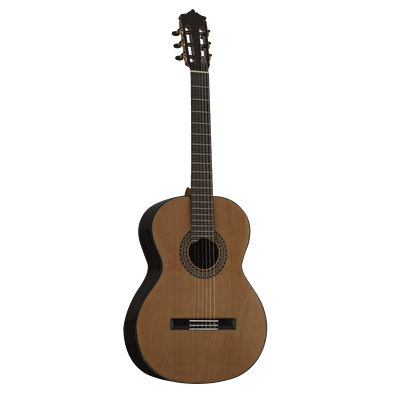 MARTINEZ MC-88C Klasik Gitar