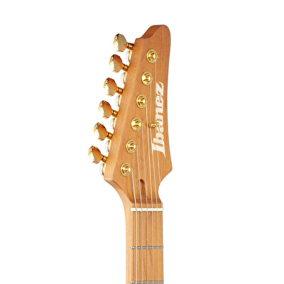Slm10 ibanez online