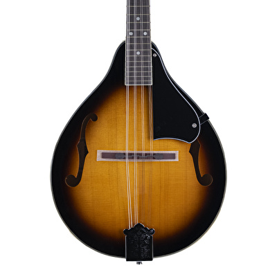HAZE ALM20 Mandolin