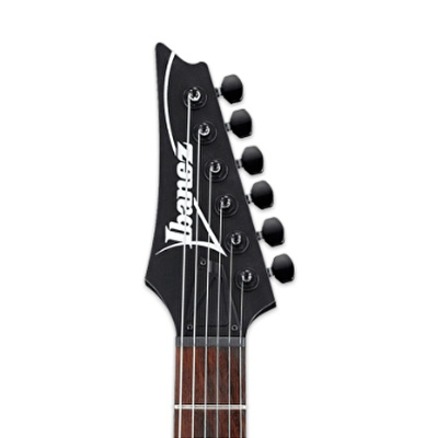 Rgrt421 ibanez discount