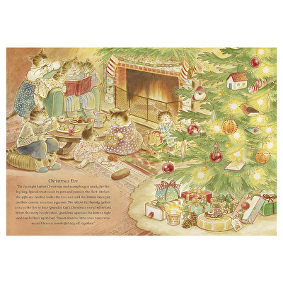 Cat Family Christmas - Lift The Flap Advent Book