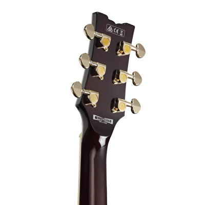 Ibanez AR520HFM-VLS AR Serisi Elektro Gitar