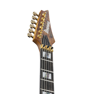 IBANEZ RGT1220PB-ABS Elektro Gitar