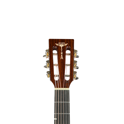 TYMA P-18E BRS Elektro Akustik Gitar