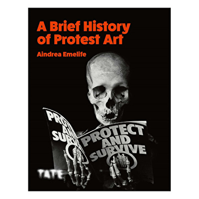 Little History Of Protest