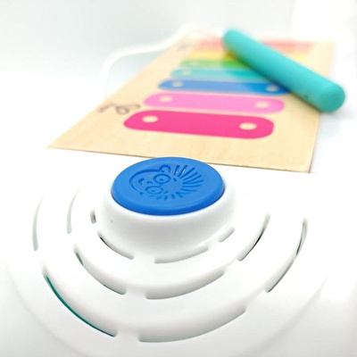 HAPE Baby Einstein Magic Touch Xylophone - Dokunmatik Ahşap Ksilofon
