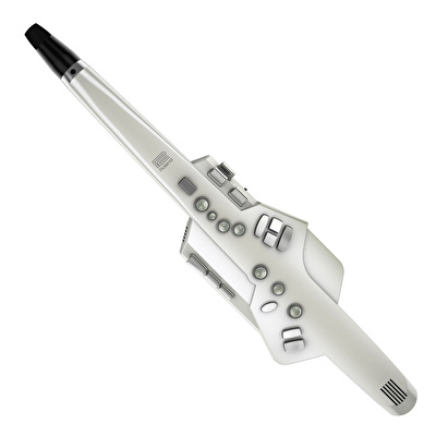 ROLAND AE-10 Aerophone Dijital Saksafon