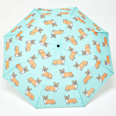 ORIGINAL DUCKHEAD Duck Kompakt Şemsiye Corgi Mint Compact