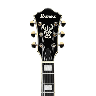 Ibanez AG95K-NT Hollow Body Elektro Gitar