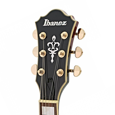 IBANEZ AG75G-SCG Elektro Gitar