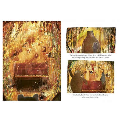 The Bear- The Piano And Lite Bear S Concert