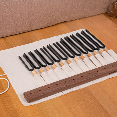 SCHLAGWERK STF-PL12 Planetary Set Universel Akort Çatalı Seti