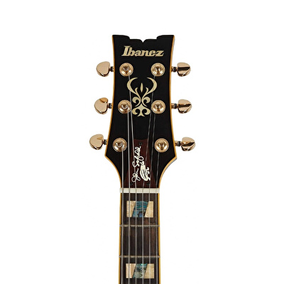 Ibanez john store scofield
