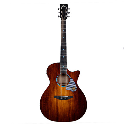 TYMA TG-5CE BRS Cutaway Elektro Akustik Gitar
