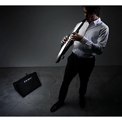 Roland AE-30 Aerophone Pro Dijital Nefesli Enstrüman