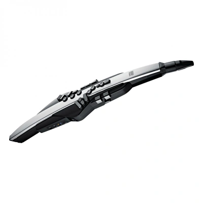 Roland AE-30 Aerophone Pro Dijital Nefesli Enstrüman