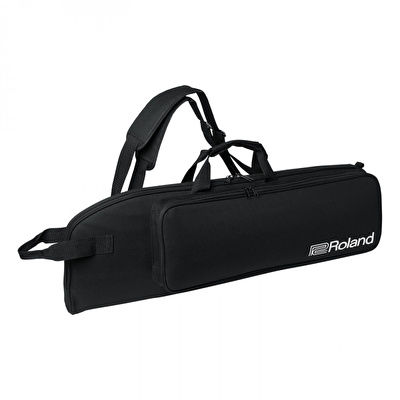 Roland AE-30 Aerophone Pro Dijital Nefesli Enstrüman