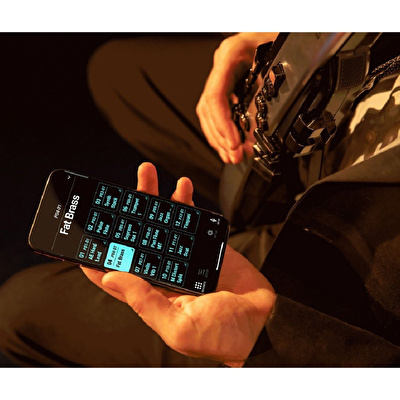 Roland AE-30 Aerophone Pro Dijital Nefesli Enstrüman