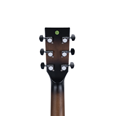 HAZE F-650/DVS CEQ Elektro Akustik Gitar